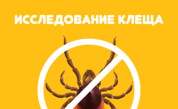 баннер