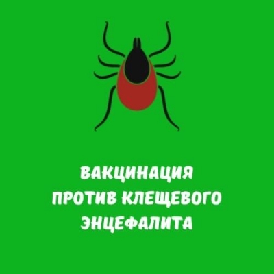 Главное изображение