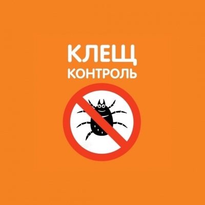 Главное изображение