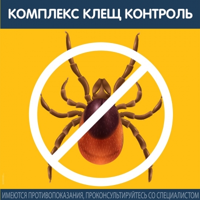 Главное изображение